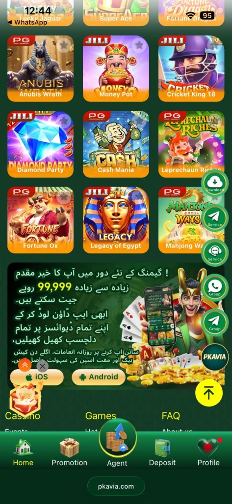 PKAVIA Game